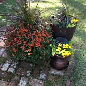 Meet your Posher, Paula